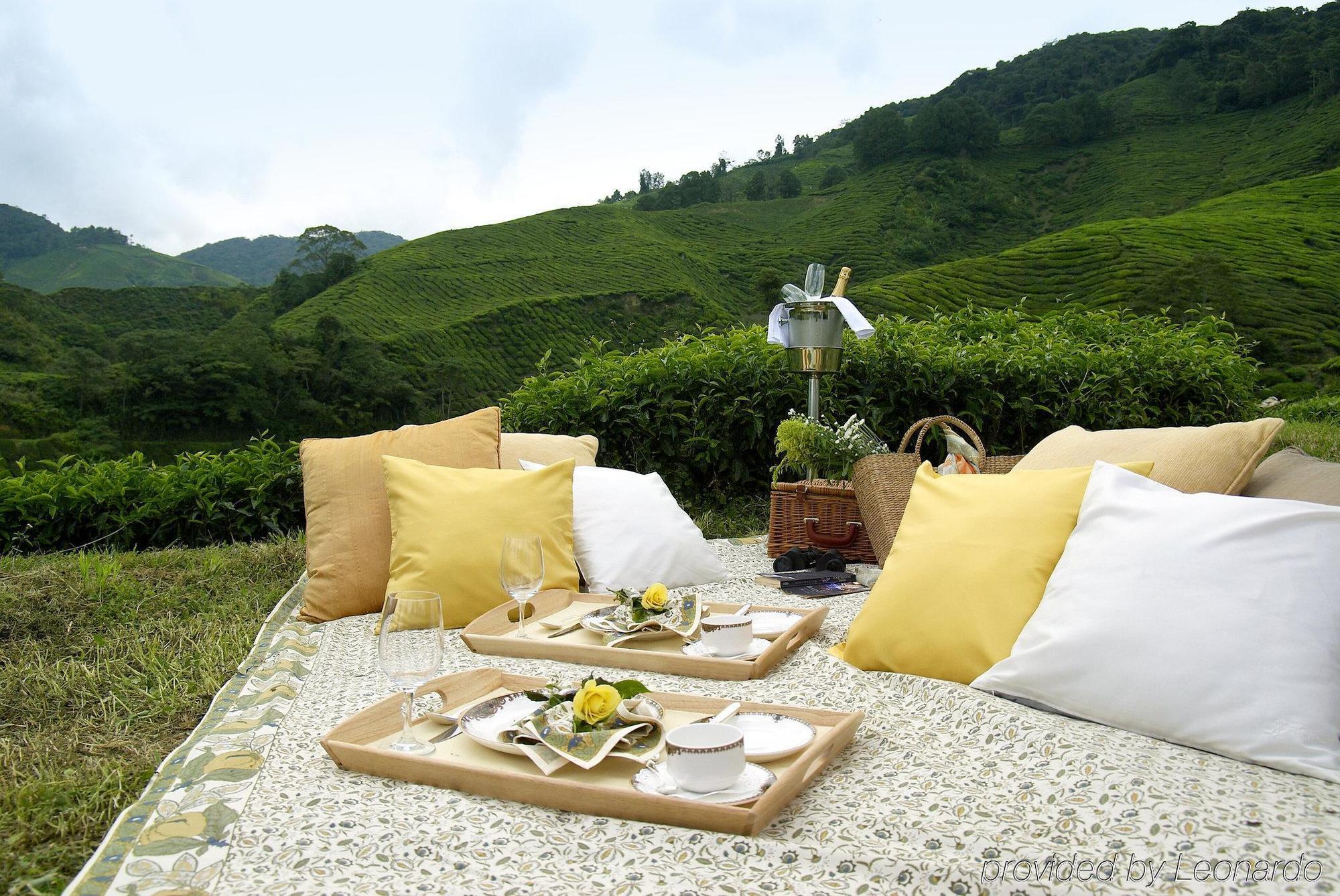 金马仑高原度假村酒店 客房 照片 A picnic in the hills of Darjeeling